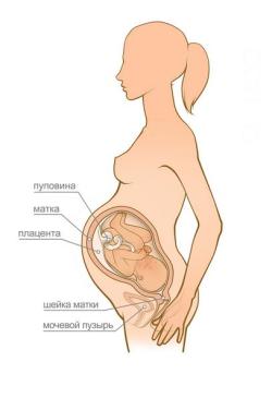 женщина на 37 неделе беременности
