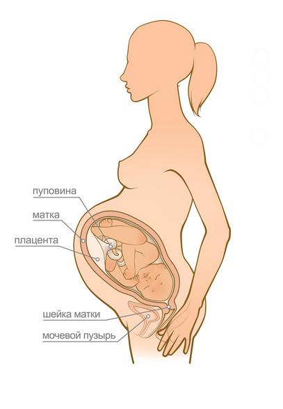 Состояние мамы на 42 неделе беременности