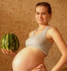 Арбуз при беременности